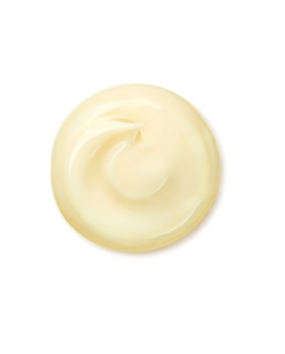 Crema Antiarrugas Benefiance Wrinkle Smoothing Cream Enriched 50 Shiseido