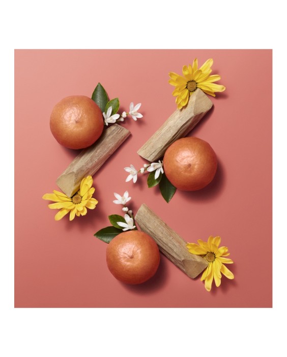 Hermès Hermèsistible Инфузированное масло для ухода