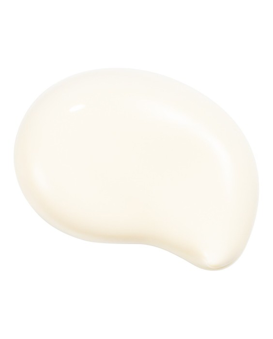 Shiseido Expert Sun Protector SPF30 50мл солнцезащитный крем