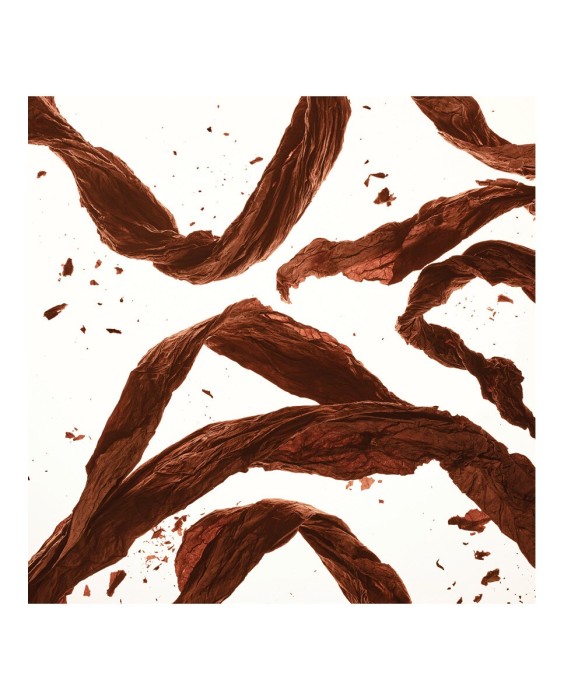 Eau de Parfum Michael Kors Gorgeous 100 ml Michael Kors