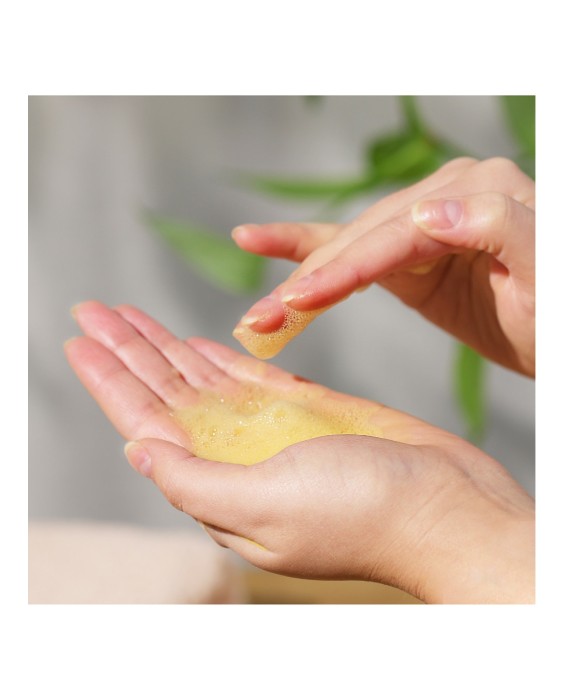 Limpiador facial en polvo Powder Cleanser Evolve 70 g Evolve