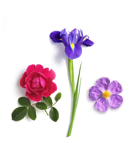 Gel Booster Aqua Beelicious 30 ml Apivita