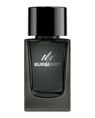 Eau de Parfum Mr. Burberry 100 ml Burberry