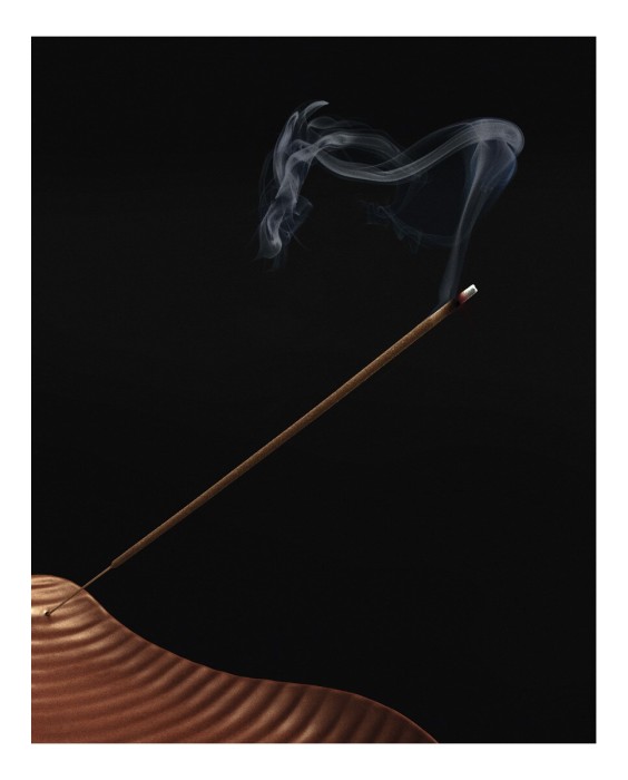 Recarga Varillas Incienso Tomato Leaves Loewe