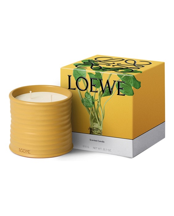 Vela Wasabi Loewe