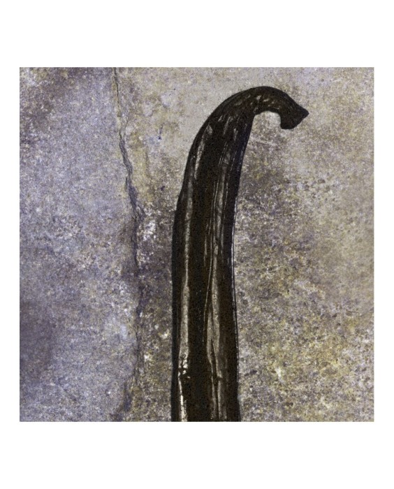 Chloé Nomade Nuit d'Egypte парфюмерная вода