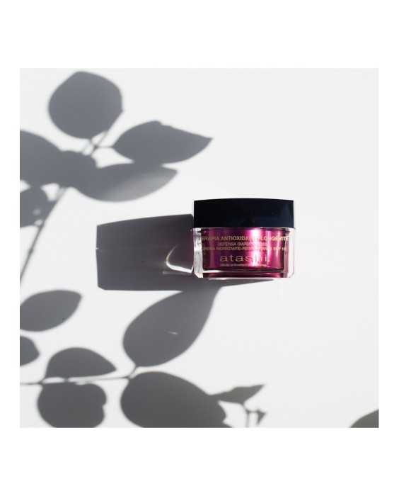 Crema Antioxidante  Hidratante Regenerante Spf15 50 ml Atashi