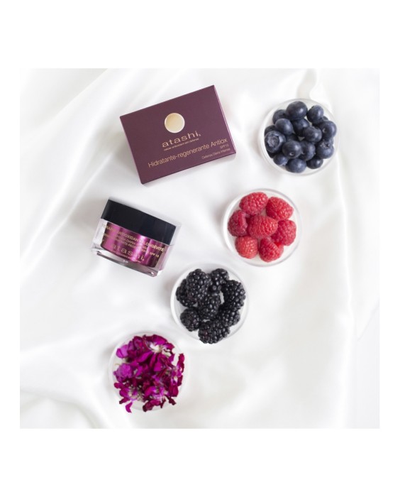 Crema Antioxidante  Hidratante Regenerante Spf15 50 ml Atashi