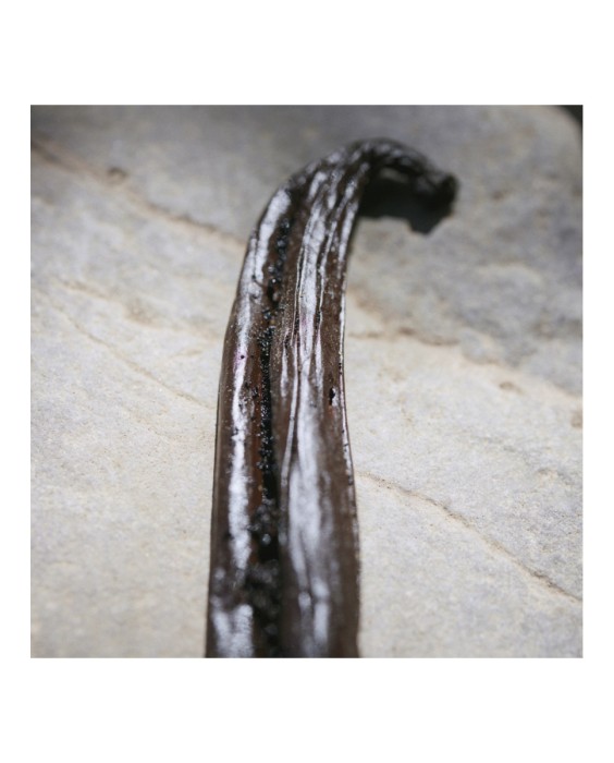 Chloé Nomade Naturelle парфюмерная вода