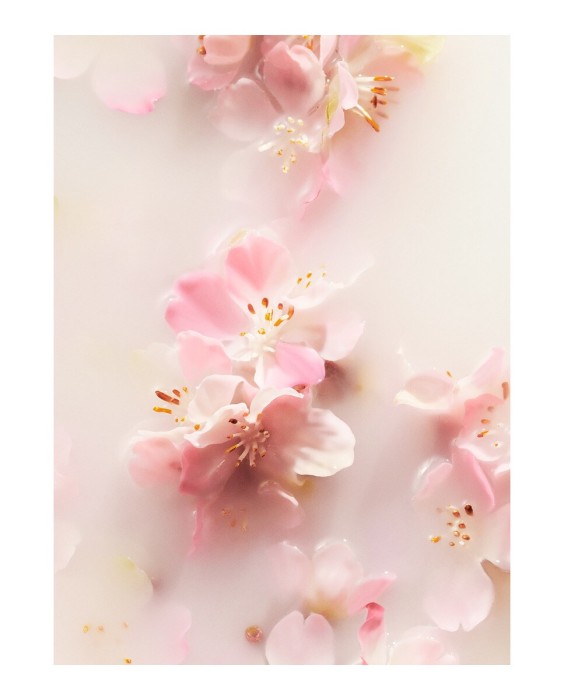 Vela aromática The Ritual of Sakura Scented Candle scented 290 g Rituals