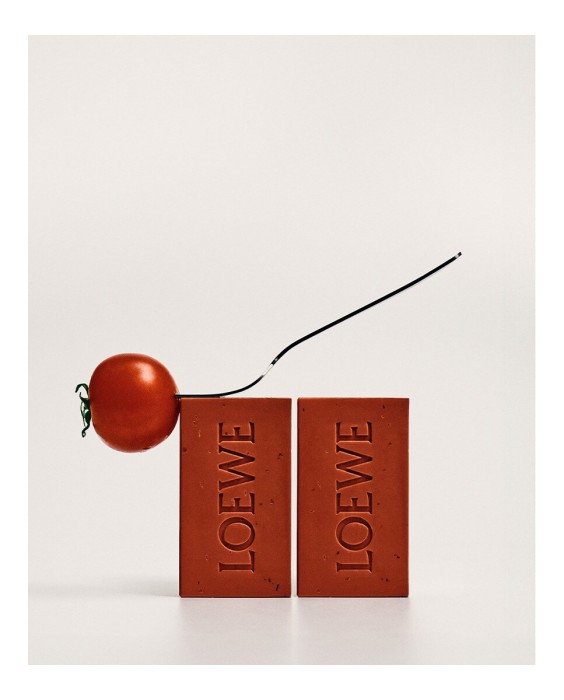 Loewe Tomato Scented Набор из двух твердых мыл