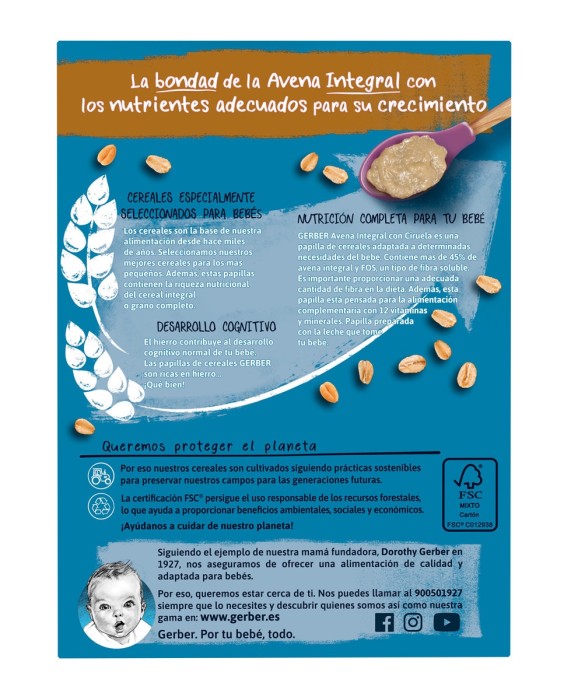 Papilla Avena Integral Con Ciruela Desde 6 Meses 250 g Gerber