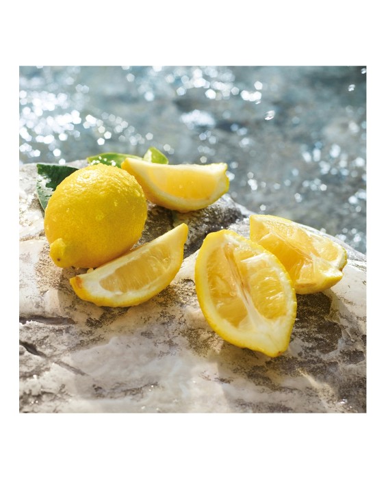 Eau de Toilette Light Blue Pour Homme Summer Vibes 75 ml Dolce & Gabbana