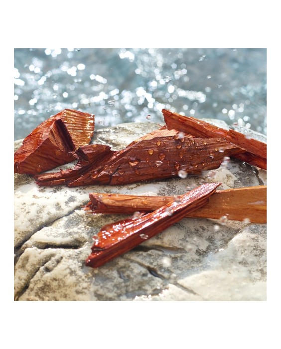 Eau de Toilette Light Blue Pour Homme Summer Vibes 75 ml Dolce & Gabbana