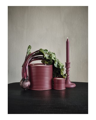 Vela aromática Home Scents Beetroot S Loewe