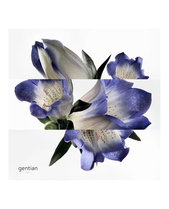 Hermès Eau de Gentiane Blanche одеколон