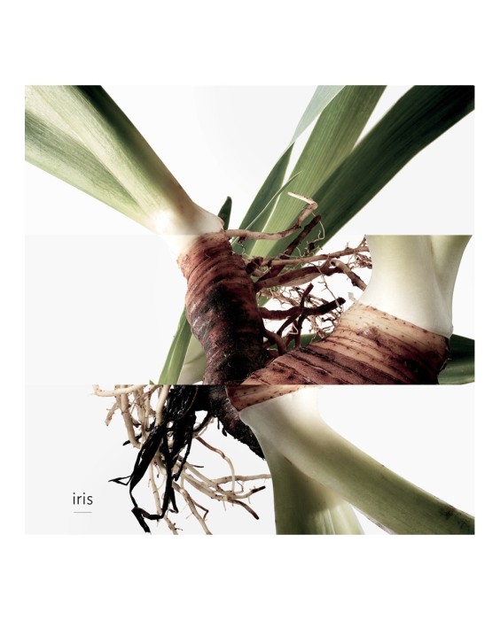 Hermès Eau de Gentiane Blanche одеколон