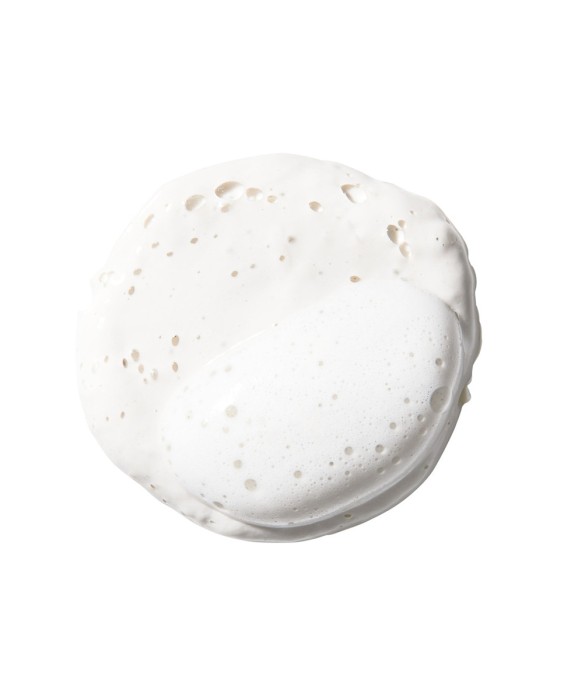 Kiehl's Rare Earth Deep Pore Daily Cleanser 75мл Очищающий мусс