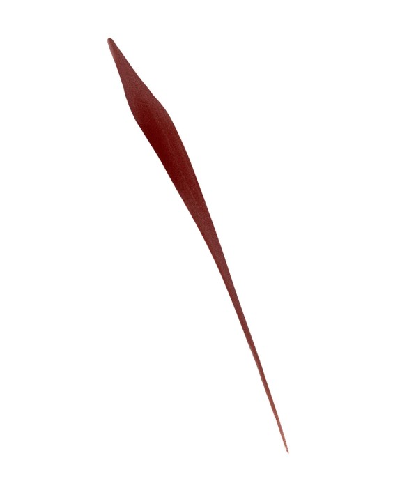 Liner líquido Perfect Slim L'Oréal Paris