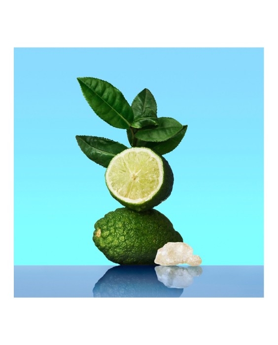 Eau de Toilette CK One 100 ml Calvin Klein