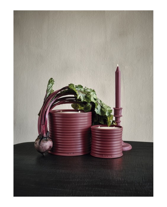 Vela aromática Home Scents Beetroot L Loewe