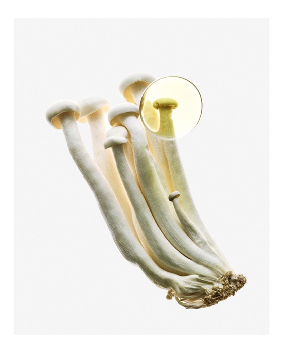 Loewe Earth Elixir парфюмерная вода