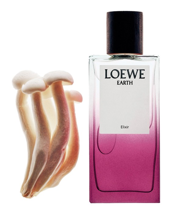 Loewe Earth Elixir парфюмерная вода