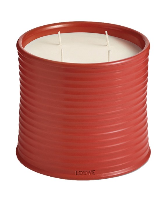 Vela aromática Home Scents Tomato Leaves L Loewe