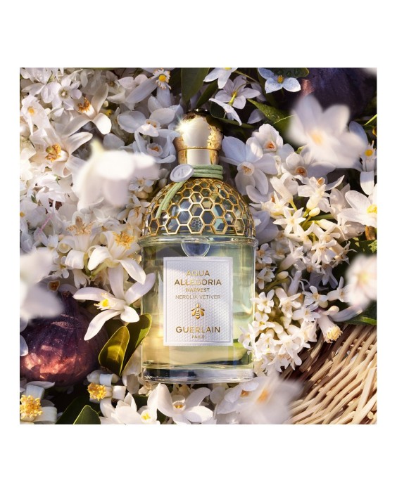 Eau de Toilette Aqua Allegoria Harvest Nerolia Vetiver 125 ml Guerlain