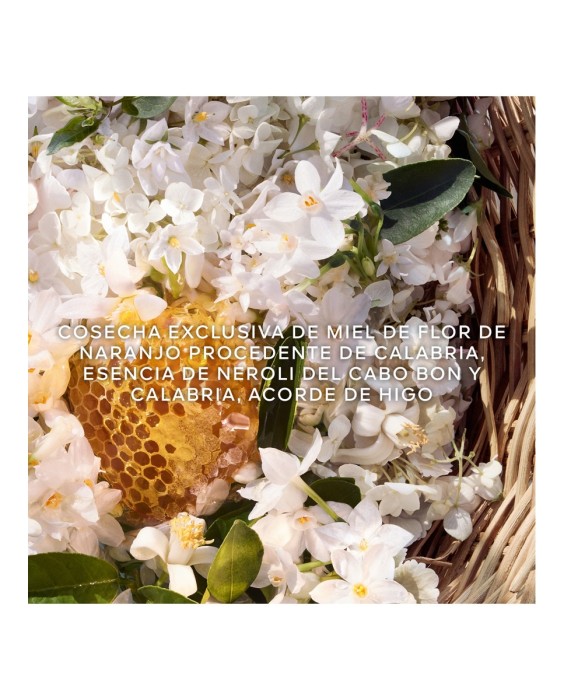 Eau de Toilette Aqua Allegoria Harvest Nerolia Vetiver 125 ml Guerlain