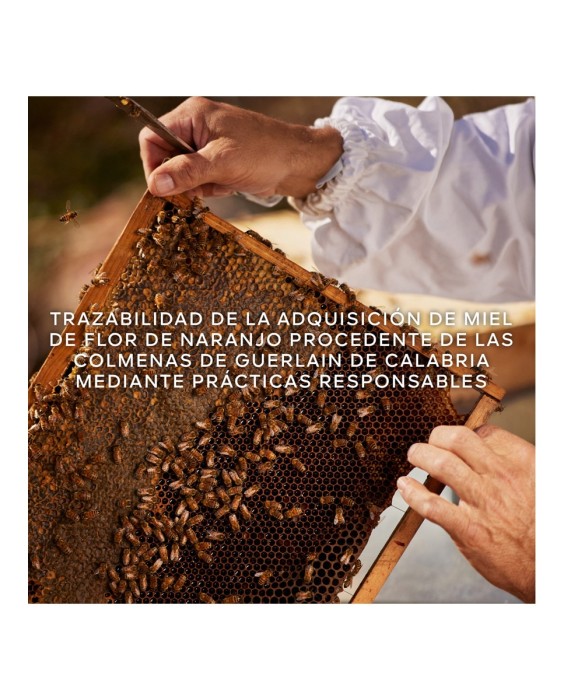 Eau de Toilette Aqua Allegoria Harvest Nerolia Vetiver 125 ml Guerlain