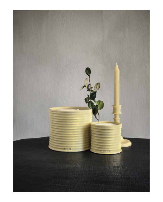 Vela aromática Home Scents Honey Suckle M Loewe