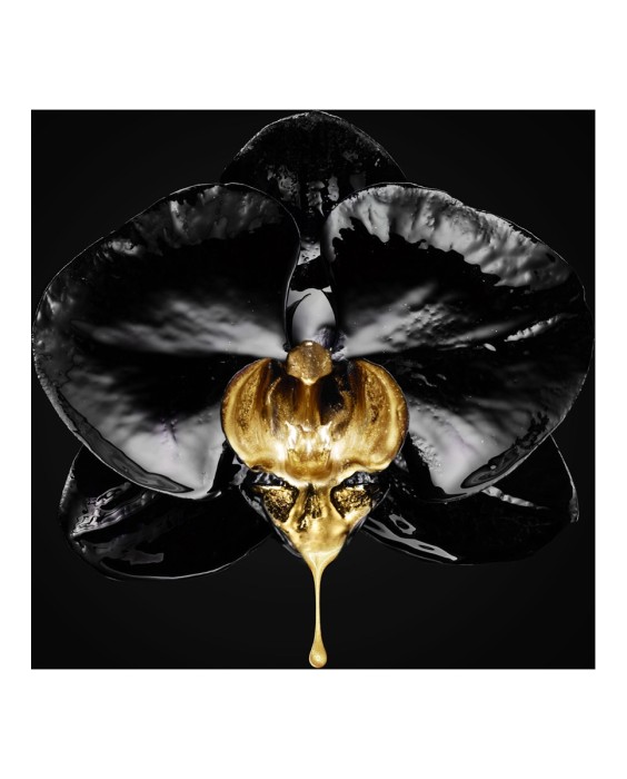 Máscara Volumen Millón de Pestañas Extra Black L'Oréal Paris