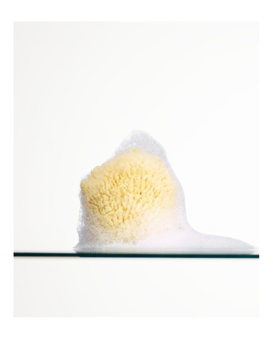 Exfoliante Corporal Sólido 100 g Midnight