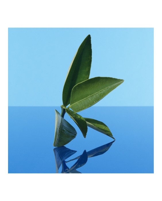 Eau de Toilette Calvin Klein CK One Reflections 100 ml Calvin Klein