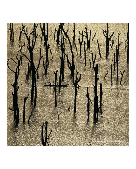 Eau de Parfum Aqua Allegoria Forte Nerolia Vetiver 75 ml Guerlain