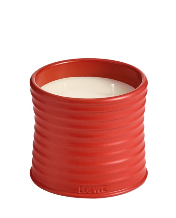 Vela aromática Home Scents Tomato Leaves M Loewe