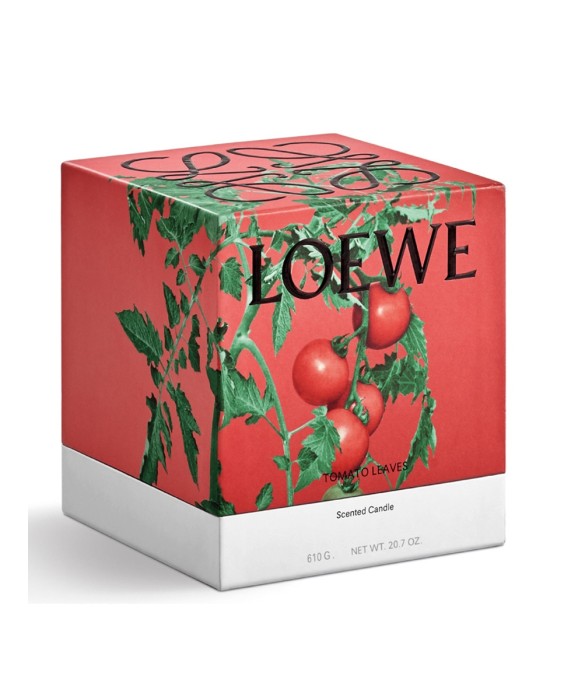 Vela aromática Home Scents Tomato Leaves M Loewe