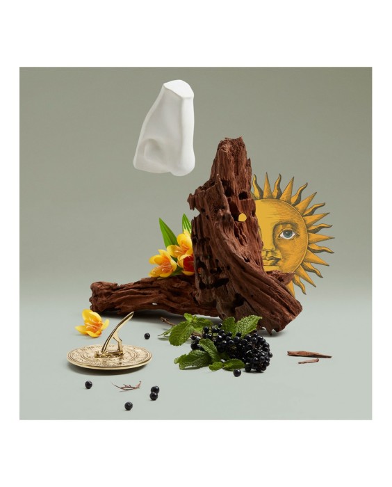 Penhaligon's Solaris 100мл парфюмерная вода