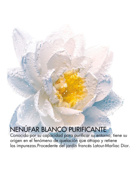 Tratamiento bifásico con extracto de nenúfar blanco purificante