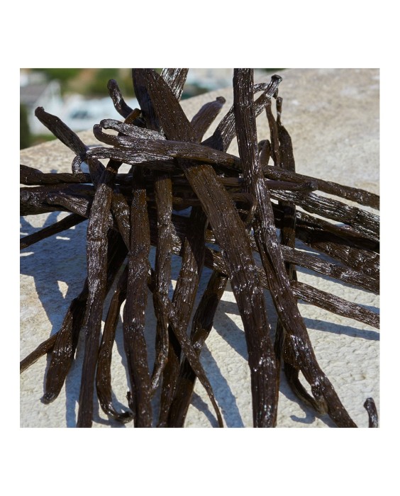 Devotion 50 ml  Dolce & Gabbana Парфюмерная вода