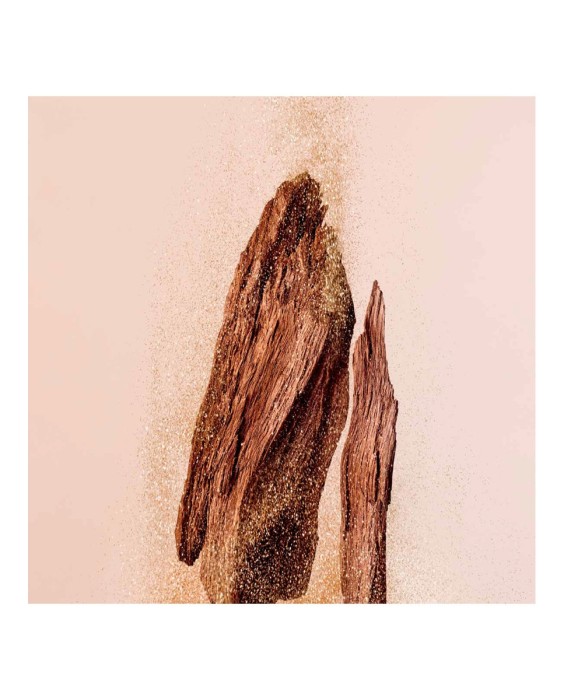 Eau de Parfum Seduction Collection I Want Oud 125 ml Jimmy Choo