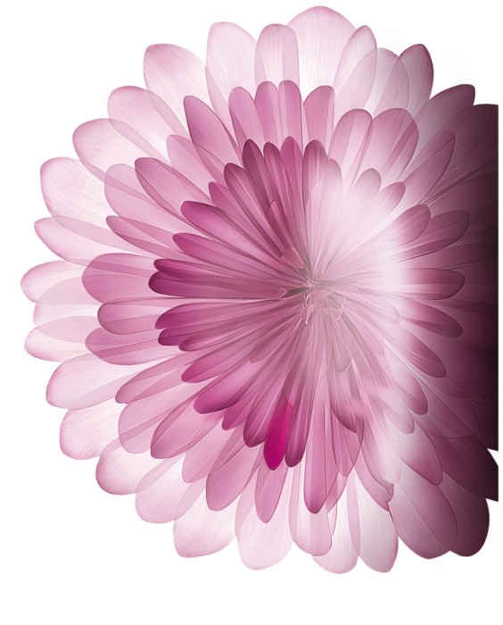 Máscara de pestañas Lash Sensational Maybelline