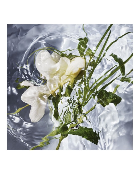 Eau de Toilette Aqua Allegoria Herba Fresca 75 ml Guerlain