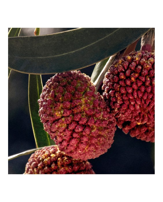 Chloé Signature 150мл парфюмерная вода, рефилл