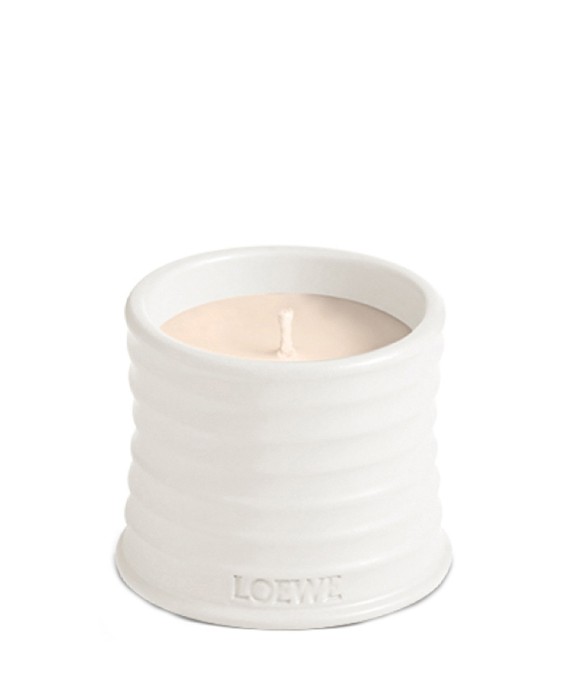 Vela aromática Home Scents Oregano  S Loewe