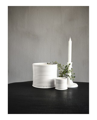 Vela aromática Home Scents Oregano  S Loewe