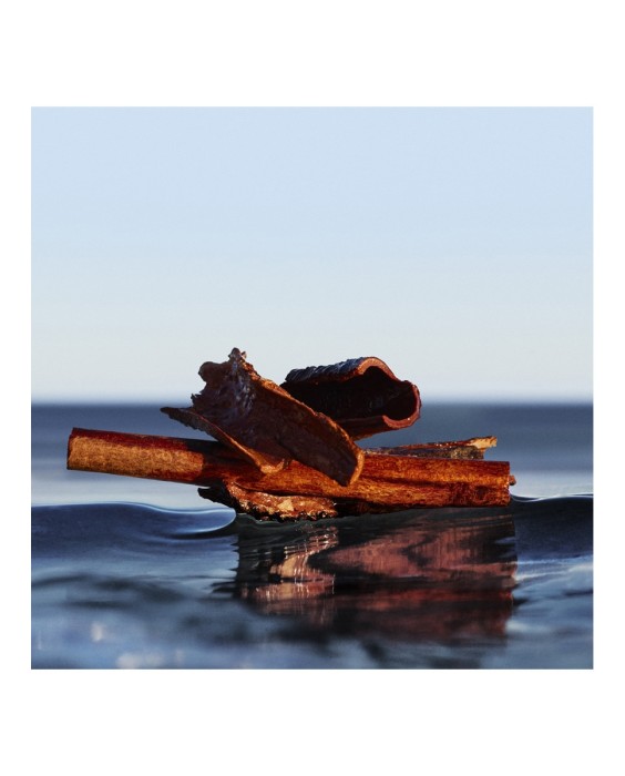 Eau de Toilette Burberry Her Blossom 100 ml Burberry