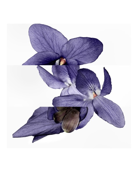 Hermès Violette Volynka парфюмерная вода