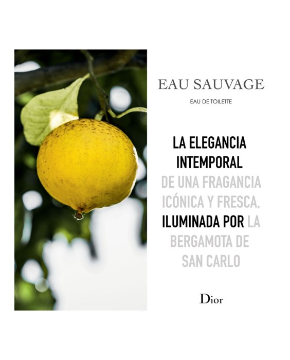 Dior Eau Savauge 100 мл туалетная вода